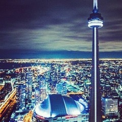 TorontoBusts