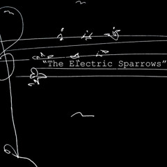 The Electric Sparrows