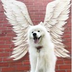 Me Myself and I lmao