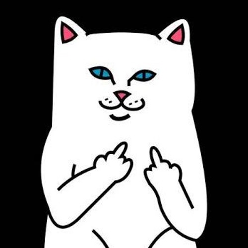 Кот показывает фак