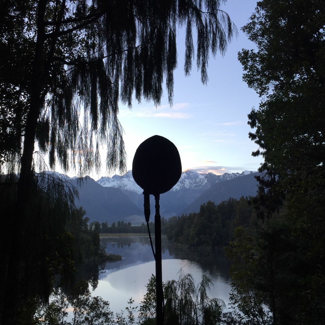 Stream nature sounds of nz music | Listen to songs, albums