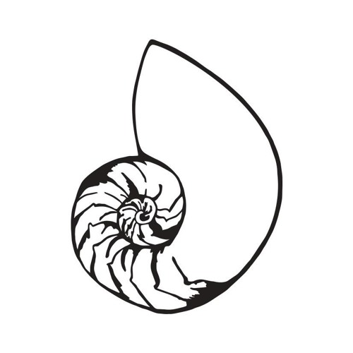 Nautilus’s avatar