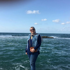 ms.elgaml29