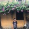 Hoàng Anh