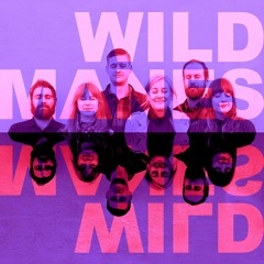 Wild Manes