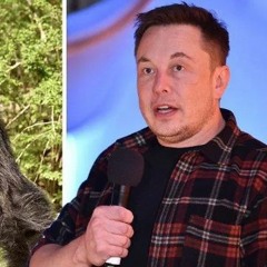 RIP HARAMBE ELON MUSK