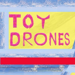 Toy Drones