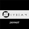 Skybeam Support for Artist
