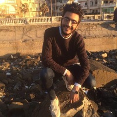 Eslam Abed 29