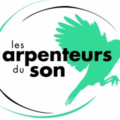 Les Arpenteurs du Son