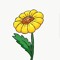 Lil Flowerboy