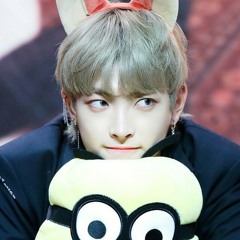 *Kpop fan entered the chat*