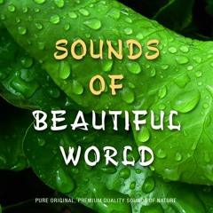 Sounds of Beautiful World