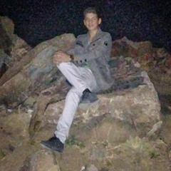 radmehr.mohammadreza20