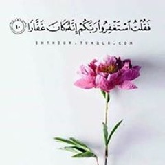 Noha Esmail