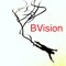 B-Vision