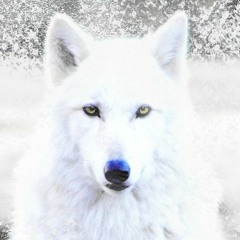 WinterWolf