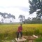 wawan