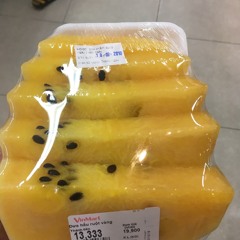 Alexandre Forest-Le Noir