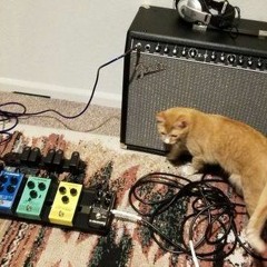 Mere Exposure Effect