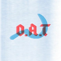 DJ THE CHINESE RAVER