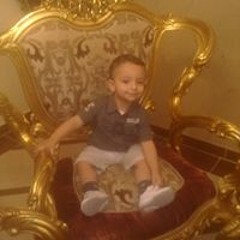 محمد ممدوح الركايبى