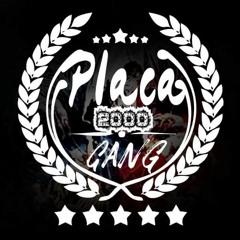 Placa 2000 Gang