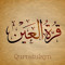 saraa nabil