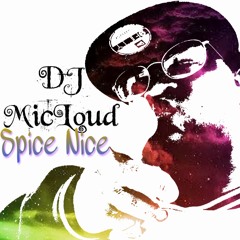 DJ MicLoud