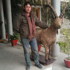 Rahmat Aman
