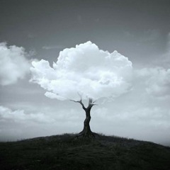 unbound