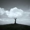 unbound