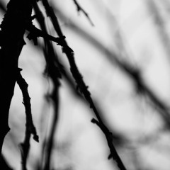 Space Diver + Gravity BORIS BREJCHA Tomorrowland 2018