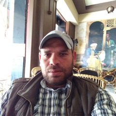 kotb sheha