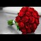 User 547402537
