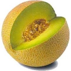 kieran.mccann94@hotmail.c