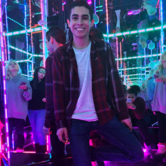 Vincent Rodriguez