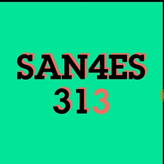 San4es 313