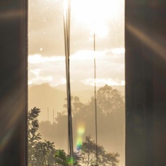 Sound Organism Music Residencies