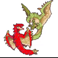 The duel Dragons