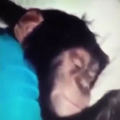 thegangstathekillaandthedopedealer