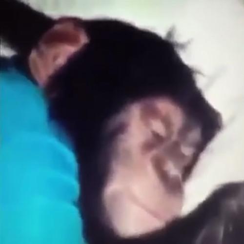 REFLEX — Потому Что Не Было Тебя Slowed