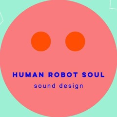 Human Robot Soul