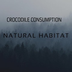 Official Crocodile Consumption