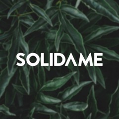 Solidame