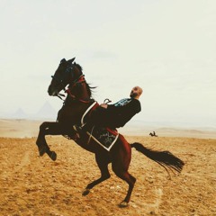 Mohamed Ahmed