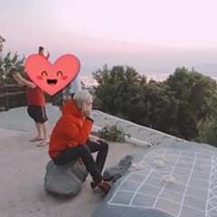 đình triều
