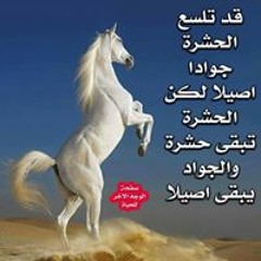 احلي