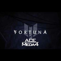 Ace Meda4