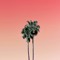 aestheticc